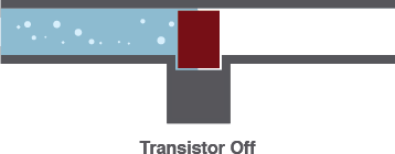 transistor-despolarizado